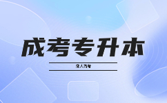2024廣東成人高考專升本畢業(yè)后就業(yè)前景如何?