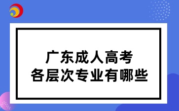 廣東成人高考各層次專業有哪些